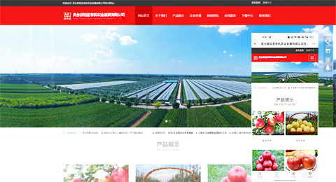 企業(yè)網(wǎng)站、程序軟件App解決方案